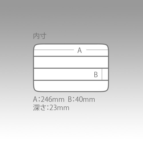 Meiho Versus VS-3020NS Áttetsző műanyag horgász doboz