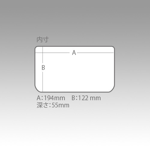 Meiho Versus VS3010NDDM Áttetsző műanyag horgász doboz