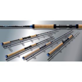 SPORTEX TOP CAT BOAT 245 130-300gr